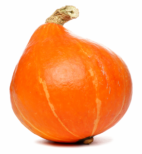 Bell shaped fresh orange squash with pale stripes.