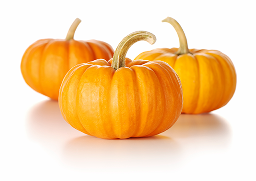 Three fresh mini orange pumpkins.