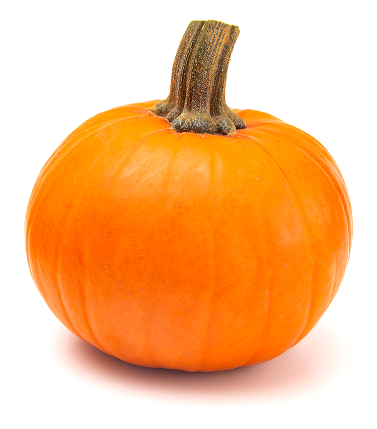Small orange pumpkin squash