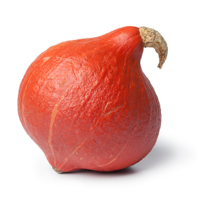 A dark orange, bell-shaped squash with a curved neck.