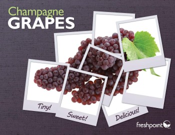 Champagne Grapes 2015 champagne-grapes-freshpoint-produce