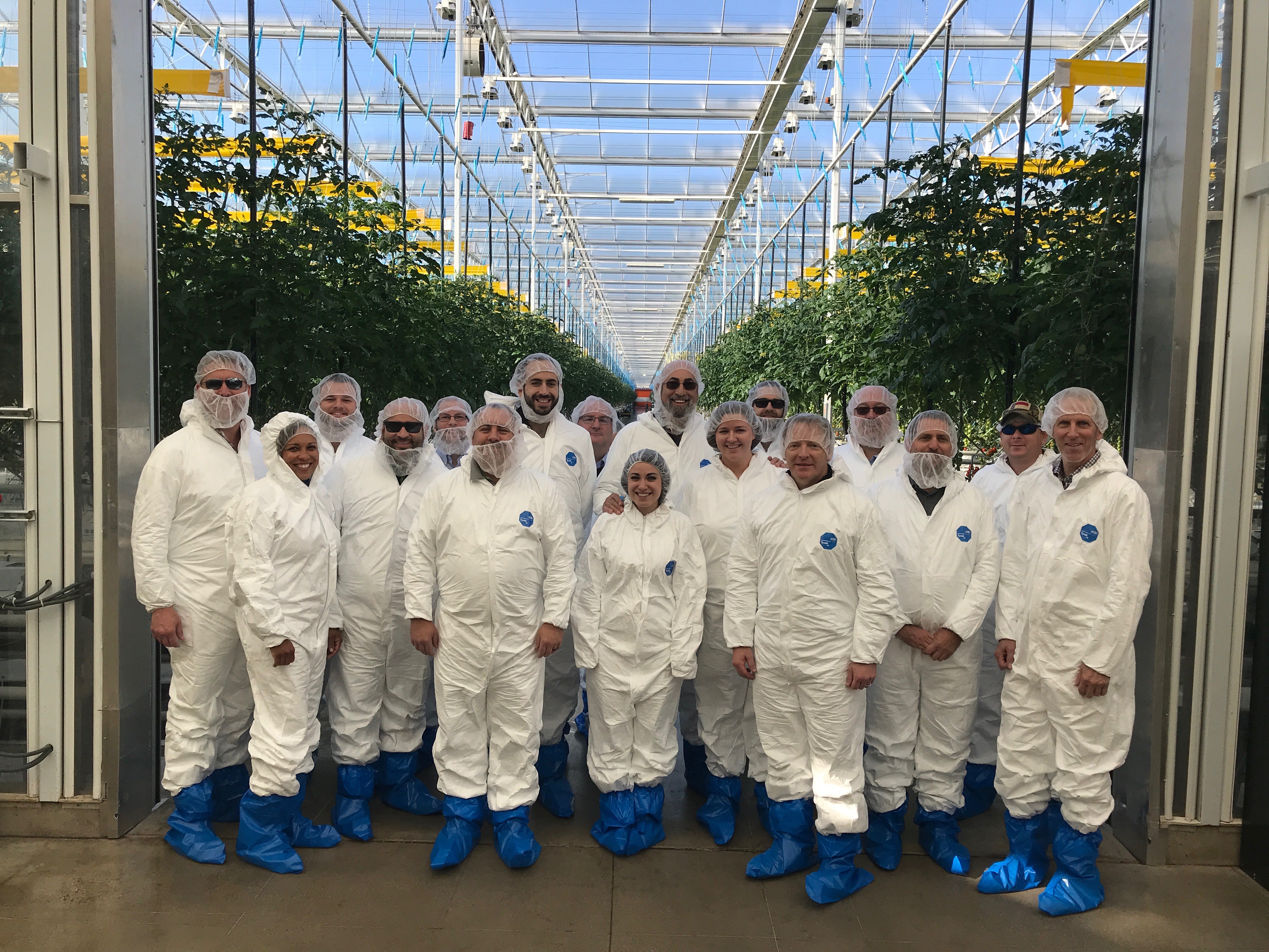 Group_Greenhouse