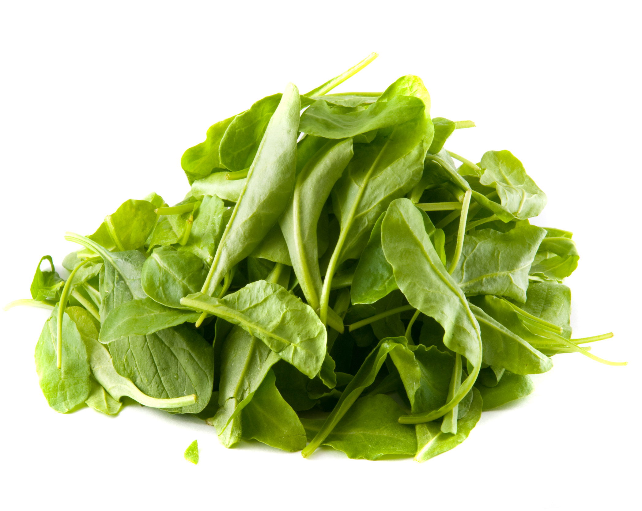 Young spinach leaves