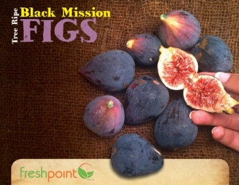 black-figs