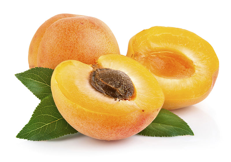 commodity-apricot
