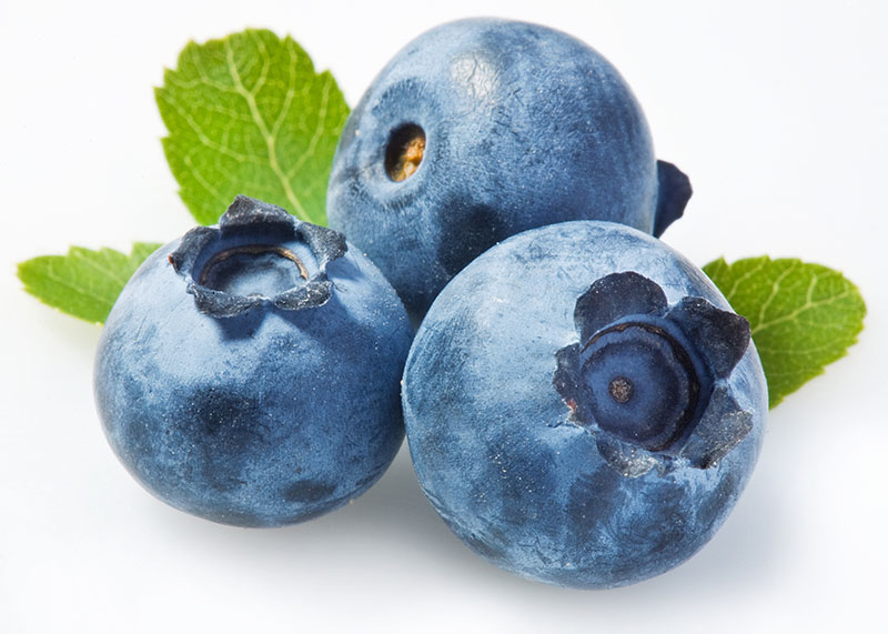 commodity-blueberry