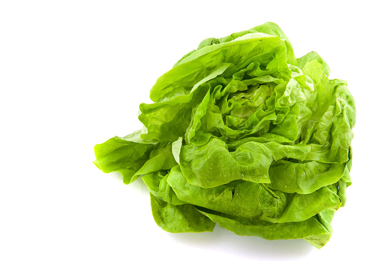 commodity-boston-lettuce