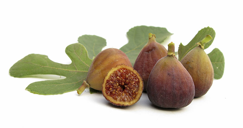 commodity-brown-turkey-figs