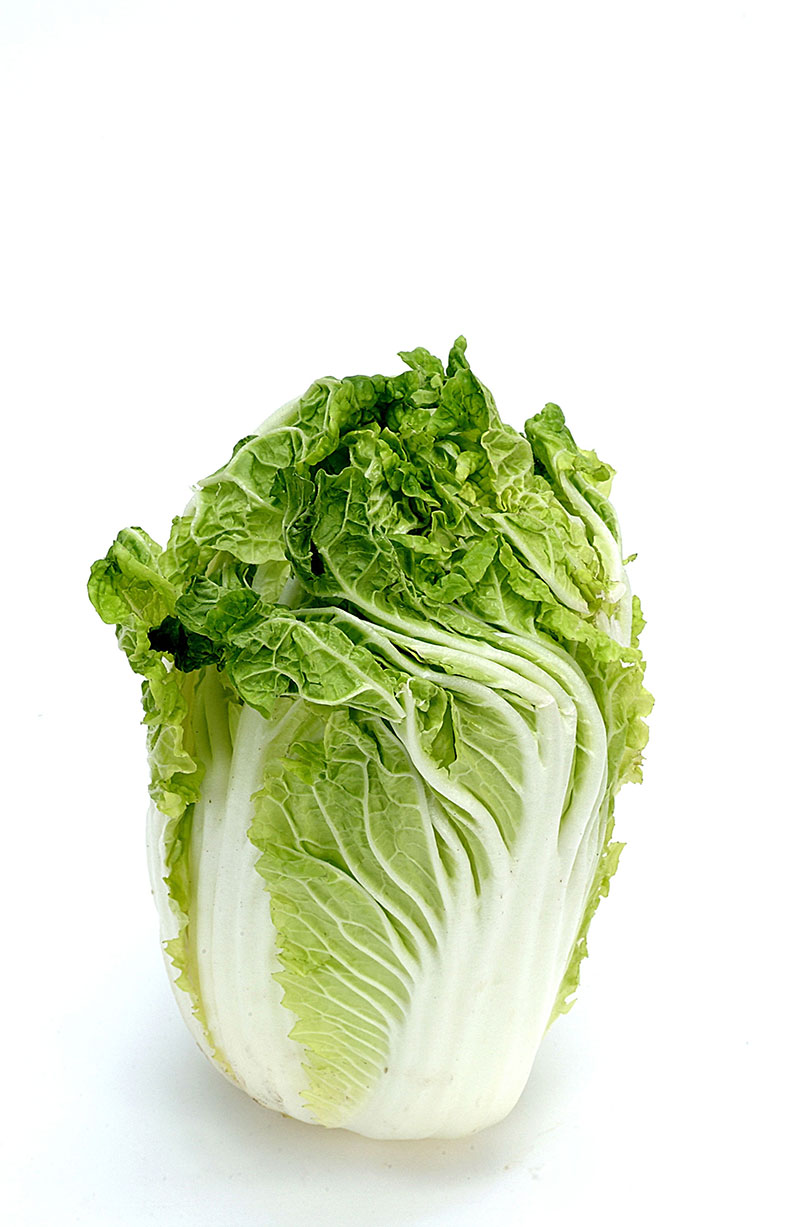 commodity-cabbage-napa