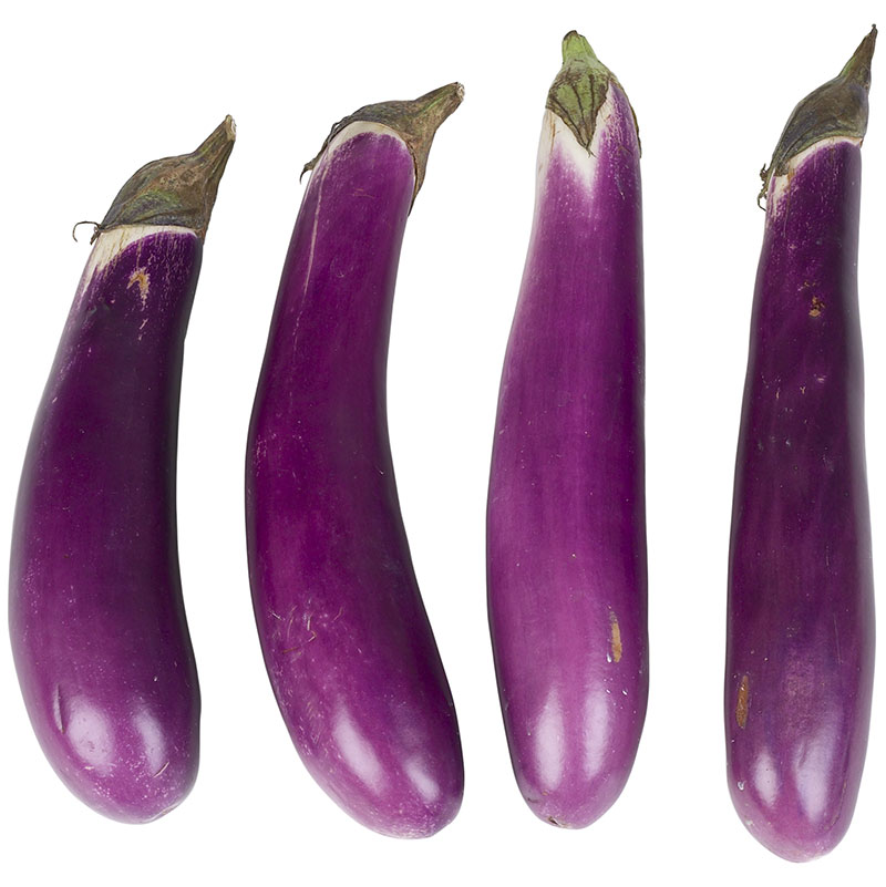 Freshpoint Eggplant Chinese,What Is Brine Solution