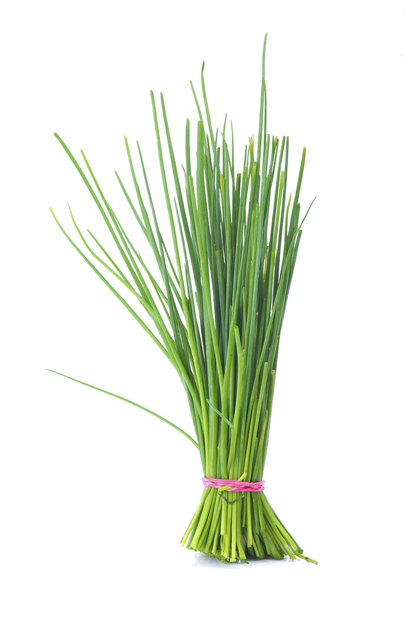 commodity-chives
