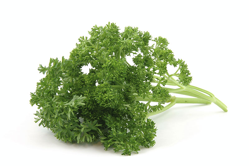 commodity-curly-parsley