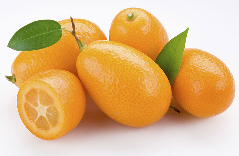 commodity kumquat