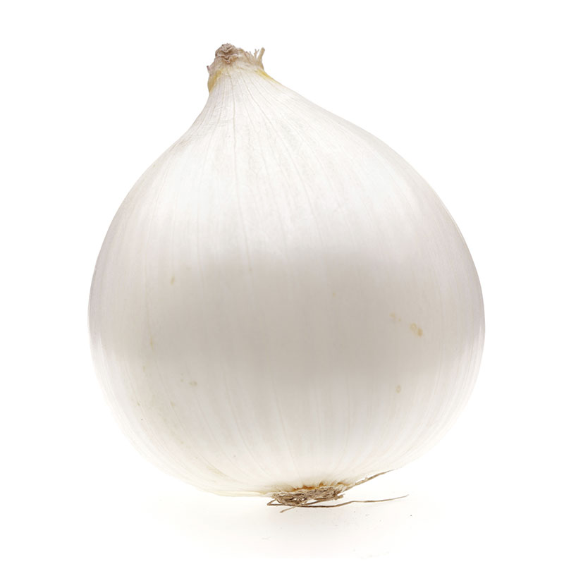 commodity-white-onion