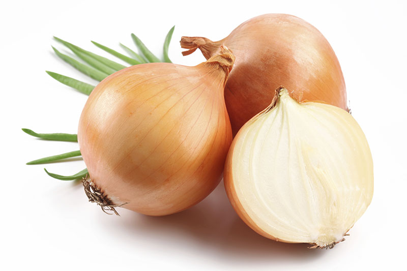 Fresh Onions Link