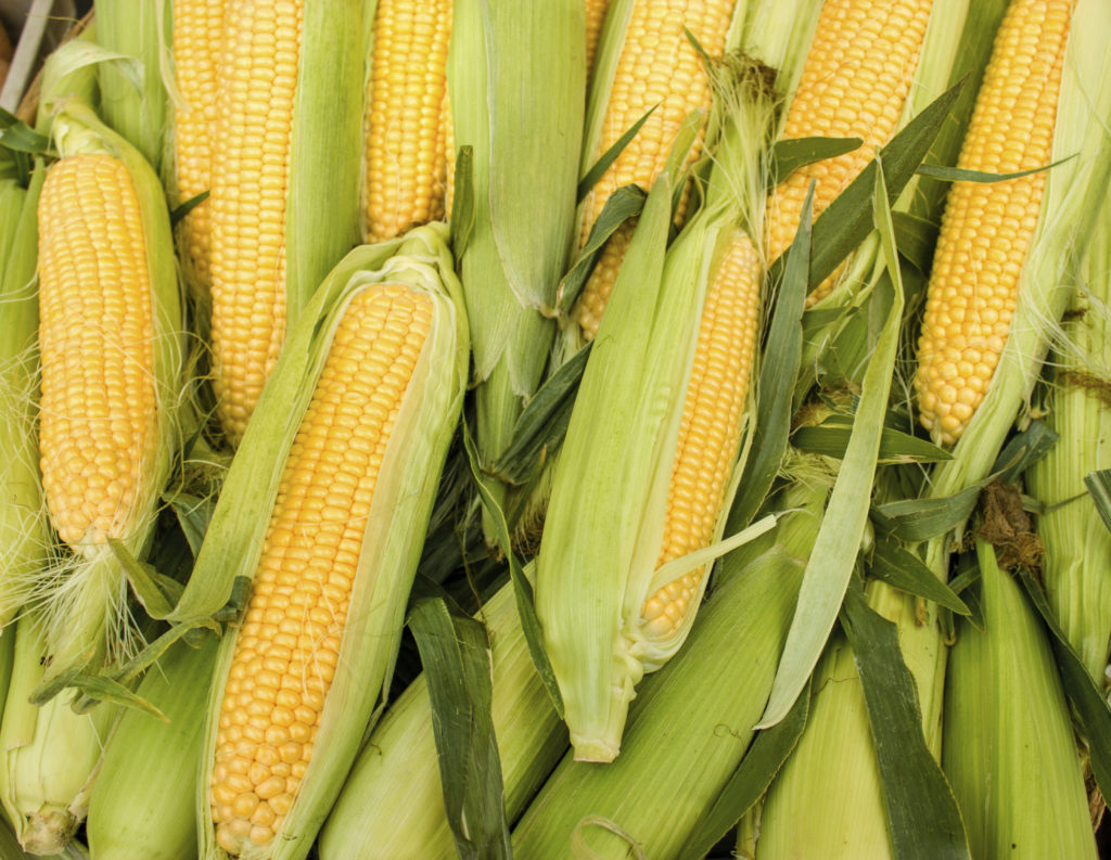 FreshPoint The Best Tasting, Sweetest Corn We’ve Found