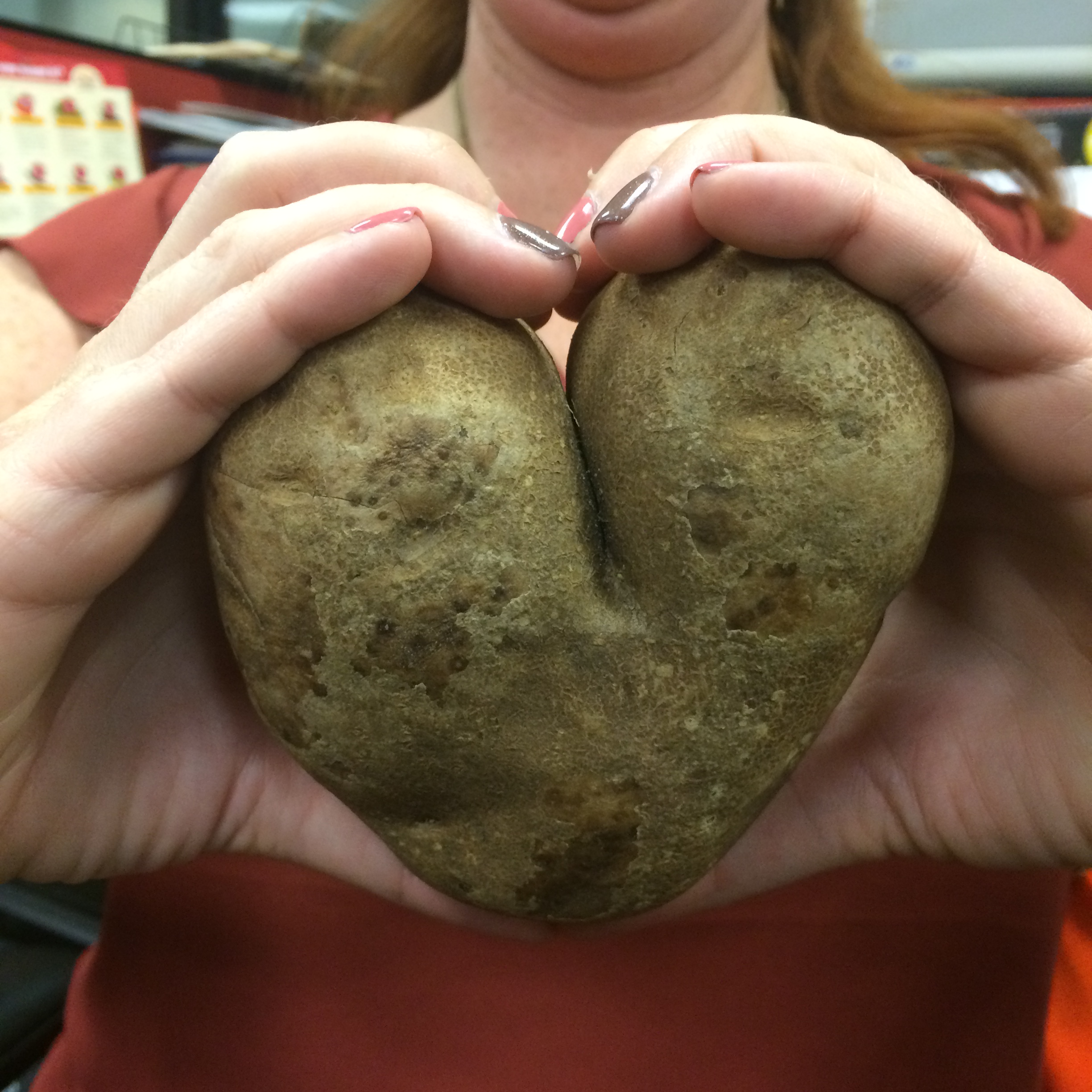 freshpoint-ubu-food-waste-heart-love-potato