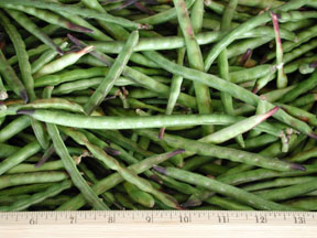 blackeyepeas