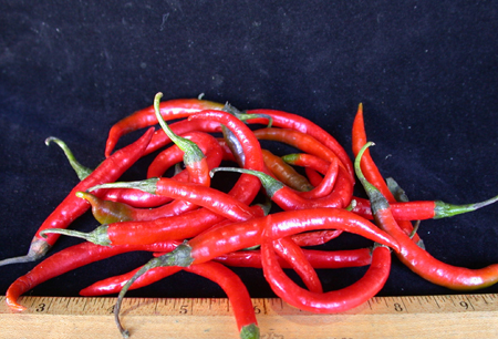cayennepepper150