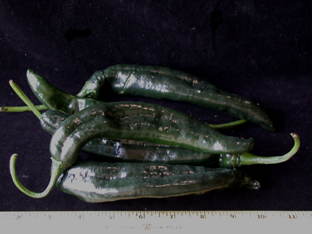 chilacachili150
