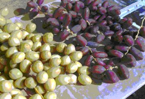 dates