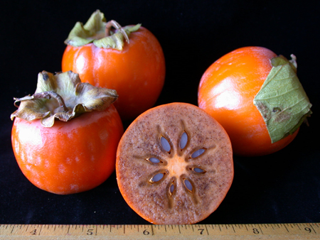 marupersimmon150