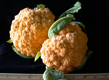 orangecauliflower150