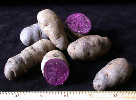 FreshPoint  Purple Peruvian Fingerling Potato *L*S*