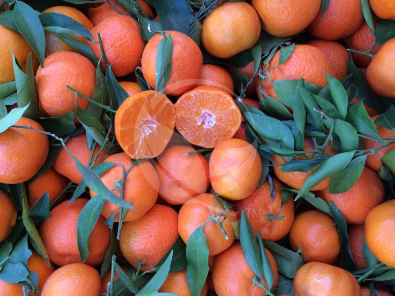 FreshPoint  Why Clementines are Mandarins, but not all Mandarins