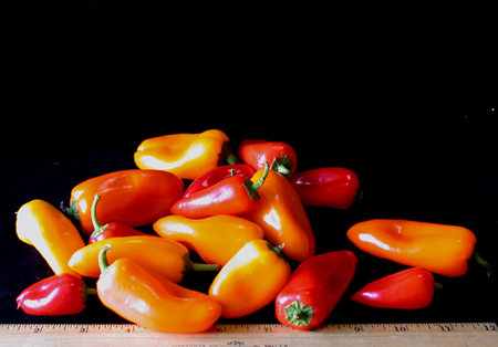 veggiesweetpeppers150