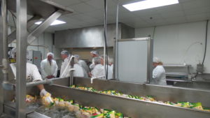 Tomato sauce production