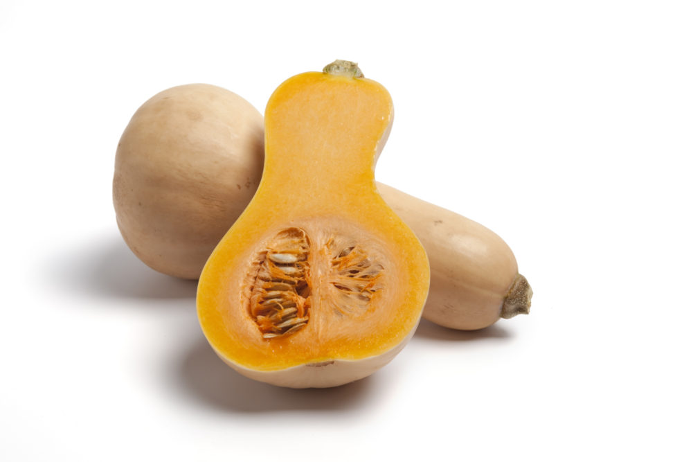 squash, butternut butternut squash