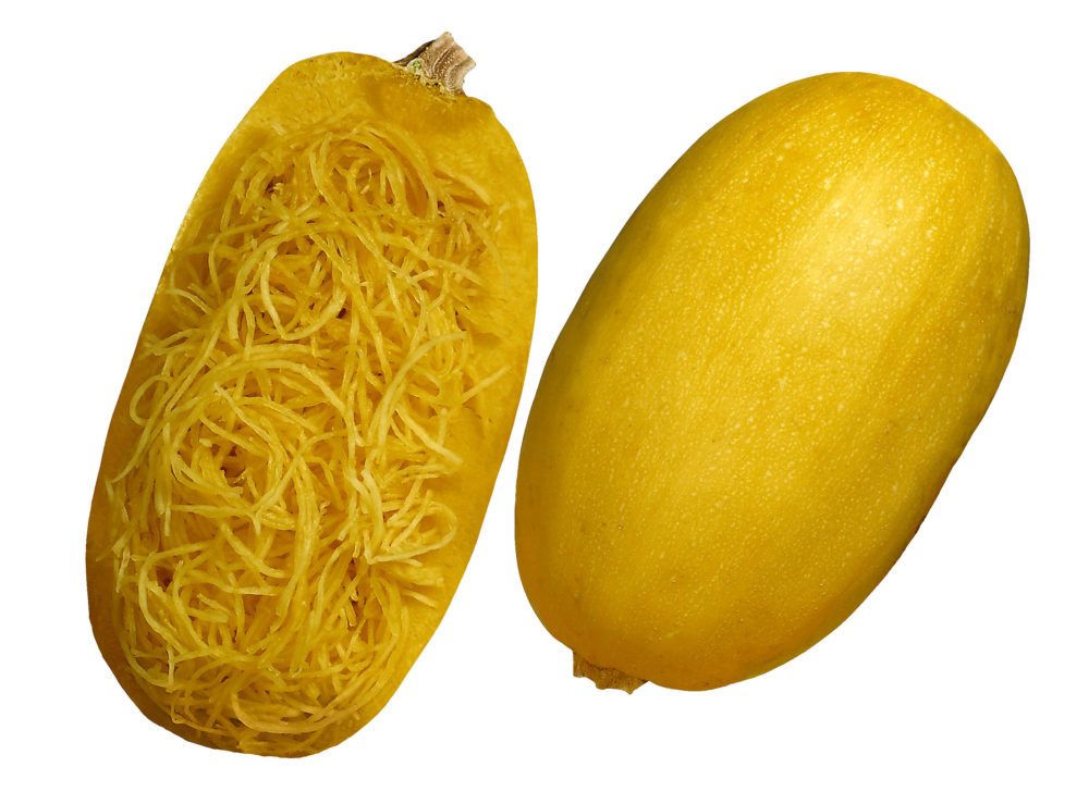 squash, spaghetti spaghetti- quash