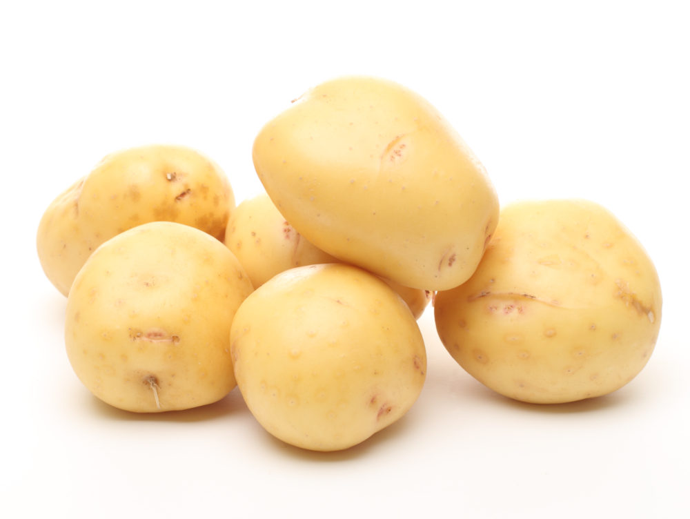 yukon potato